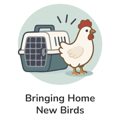 Bringing Home New Birds