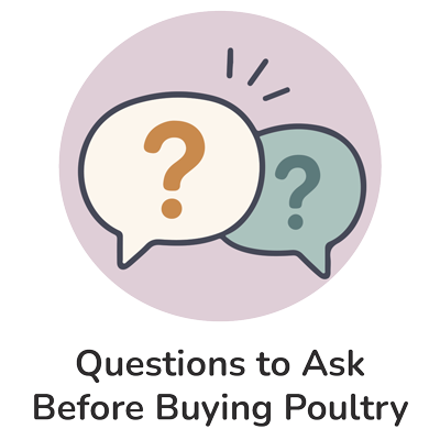 Questions to Ask Before Buying Poultry
